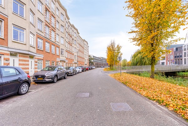 FREYJAPLANTSOEN 3-38.jpg